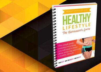 The Beginner’s Guide to a Healthy Lifestyle